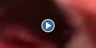 sextape poqssi|POQSSI SEXTAPE &3 .